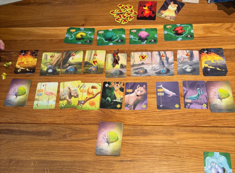 Mise en place Living Forest Duel
