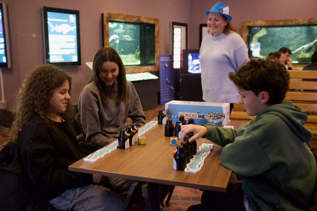 Jeu Pengoloo animé au sein de l'Aquarium Museum de Liège